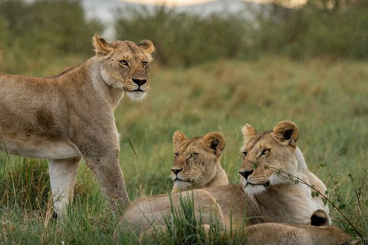 Samburu, Aberdare and Maasai Mara Adventure 11days/10nights. - Photo 1 of 8