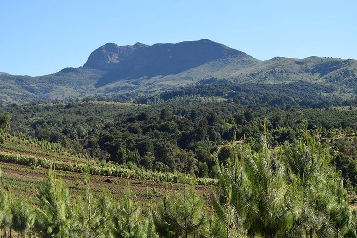 Scenic Day Trip to Aberdares National Park - Photo 1 of 6