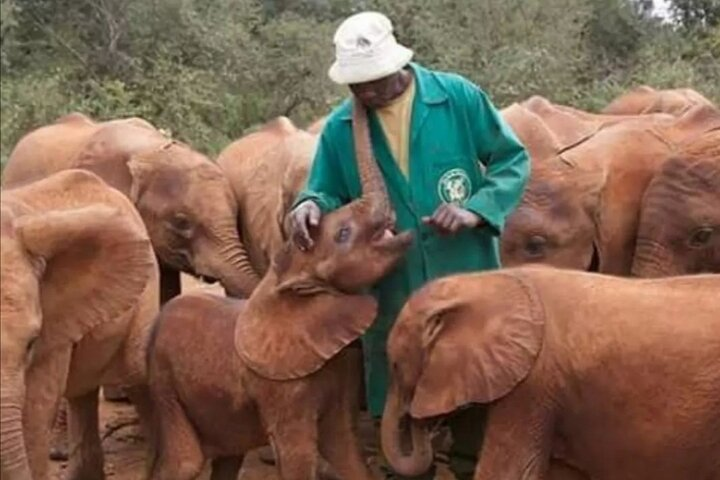  David shedrick trust feeding time