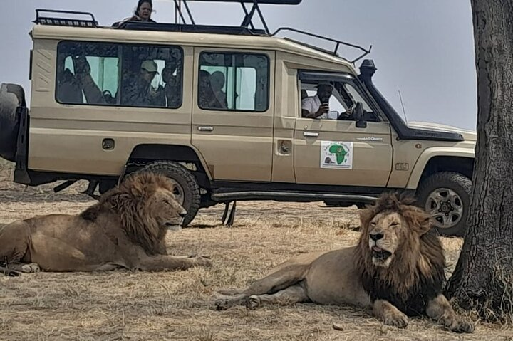 Tsavo National Park Small group Day trip - Photo 1 of 25