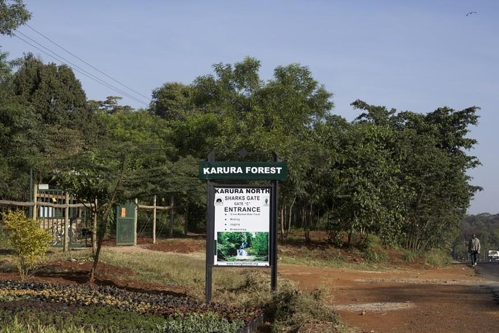 Urban Forest Tour in Nairobi - Photo 1 of 4