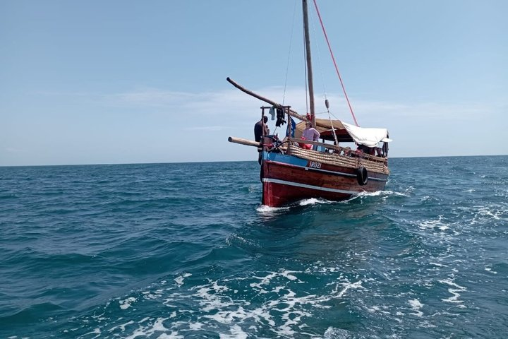 Wasini Dolphin Spotting Tour - Photo 1 of 10