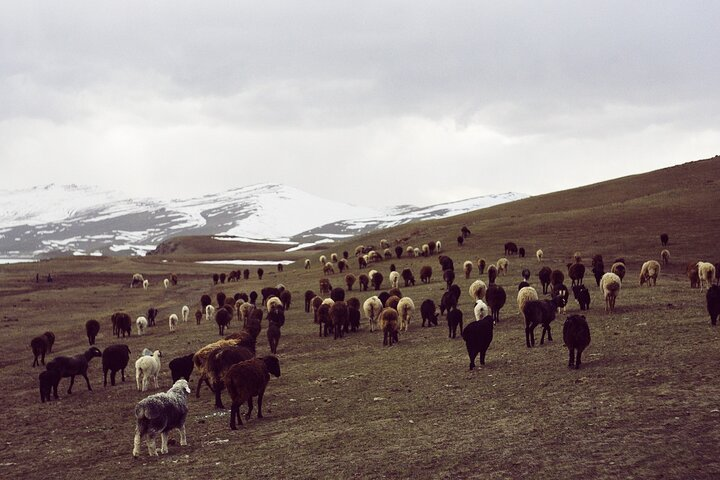 10 Day Nomad Horseback Tour Trekking to Song-Kul - Photo 1 of 25