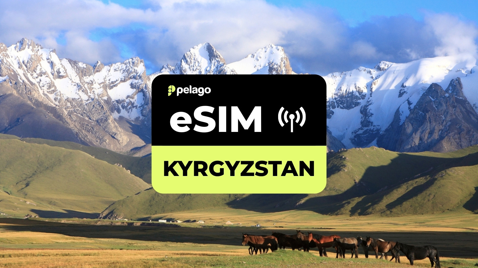 Kyrgyzstan eSIM by Pelago - Photo 1 of 4