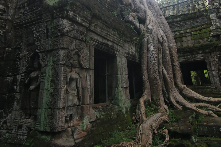 Angkor Highlights Full-Day Tour by TukTuk - Photo 1 of 13