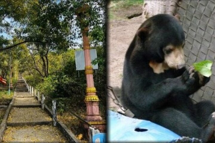 Cambodia Wildlife Sanctuary and Countryside Tour  - Photo 1 of 10