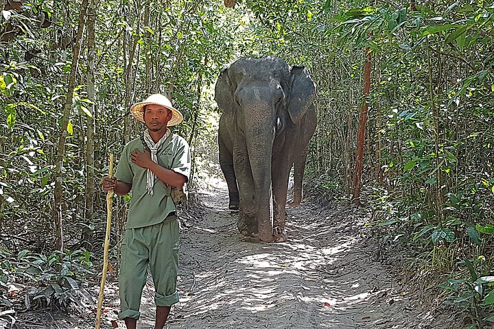 Kulen Elephant project
