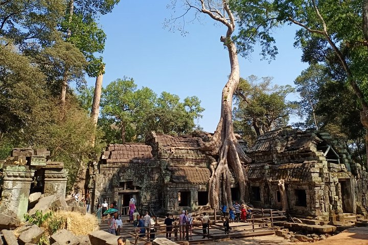 Taprohm Temple