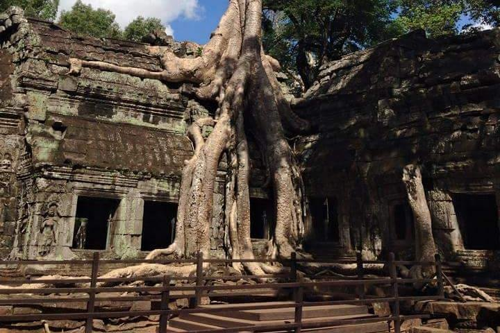 Ta Prohm Temple