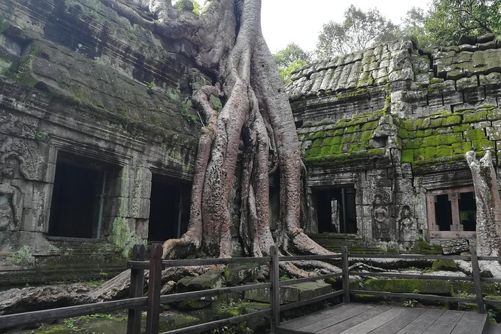Ta Prohm