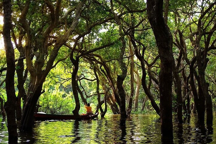 Explore the flooded forest on a local canoe during rainy season!