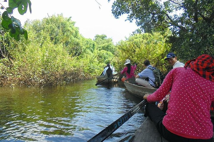 Kompong Phluk mangrove