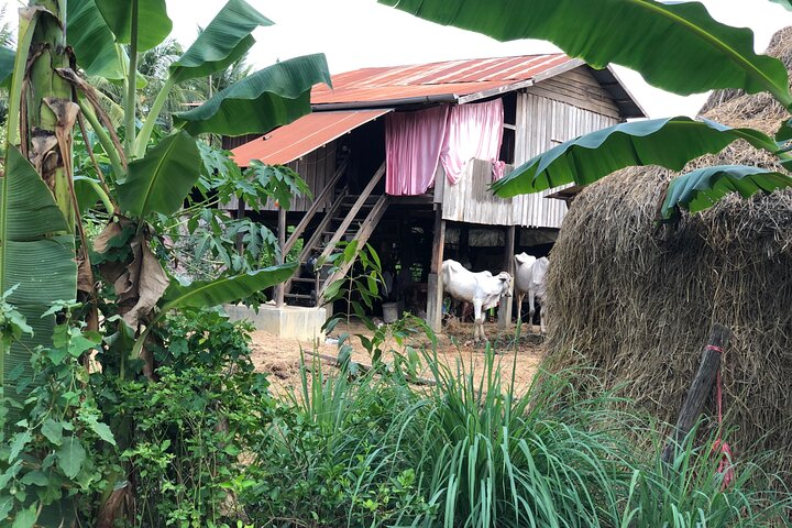 Morning tuk tuk tour half day ,bam boo train ,city & countryside  - Photo 1 of 8
