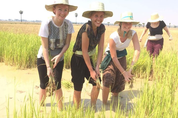 Experience rural village life!