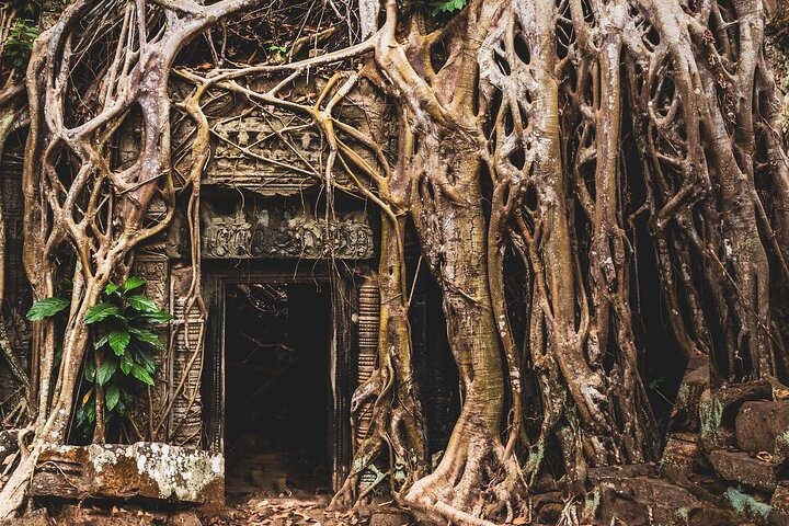 One-Day Private Guided Backroads Cycling Tour of Angkor Temples - Photo 1 of 8