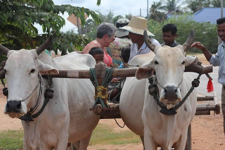 Ox-cart Culture Tour, Countryside Experince in Siem Reap - Photo 1 of 6