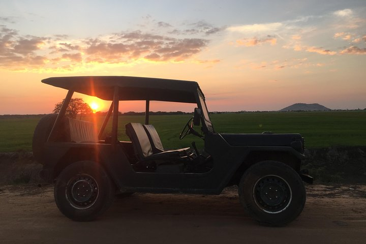 rice field sunset