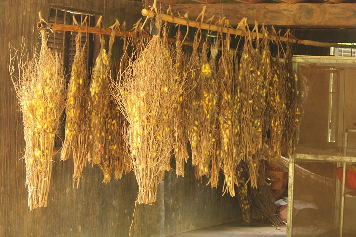 Haft Day Floating Village & Old Market - Photo 1 of 12