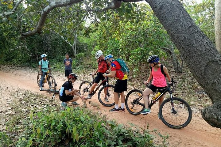 Capture warm welcome 