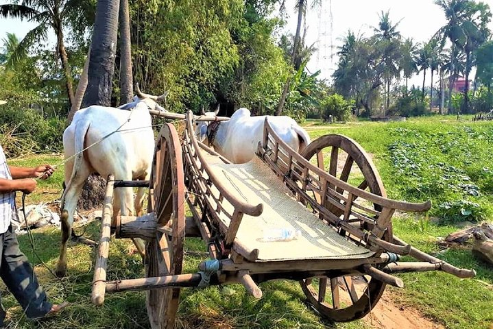 Rural Village with Ox Cart Journey & Monk Blessing - Photo 1 of 9
