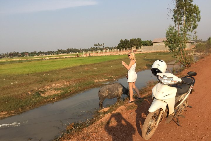 views in Eco Tourism area 