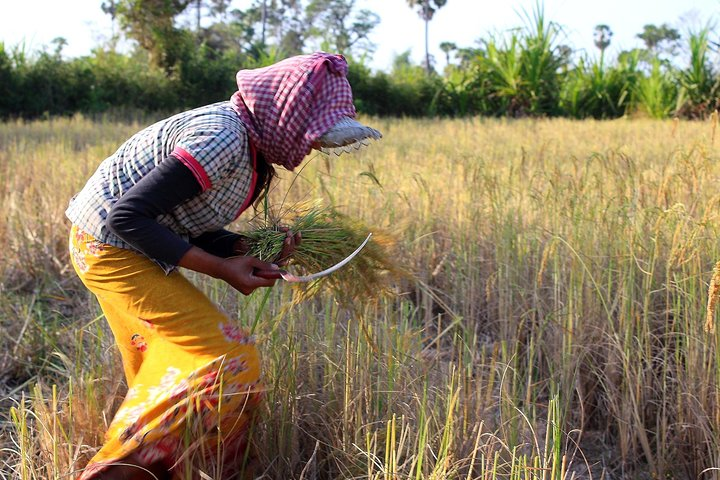 Siem Reap Country Side