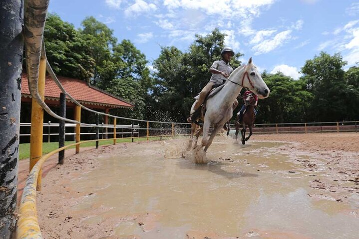 Experience the joy of horse riding at Siem Reap Happy Horse Riding where lush landscapes and local life merge in unforgettable rides for all skill levels in Cambodia's countryside.