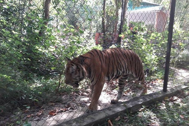 Tamao Mountain and Tonle Bati Private Day Trip from Phnom Penh - Photo 1 of 8