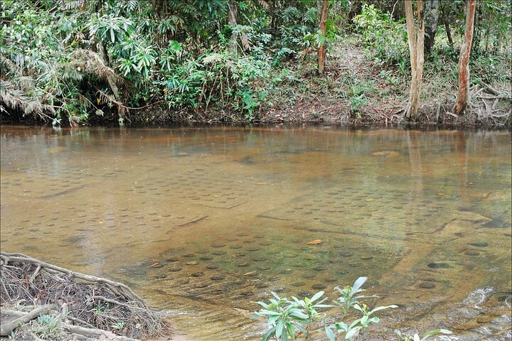 1000 Lingas River