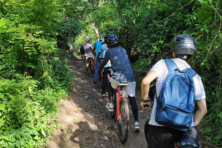 Village Cycling Tour (Private) - Photo 1 of 6