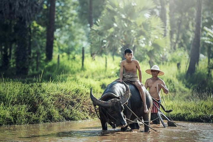 Village Life
