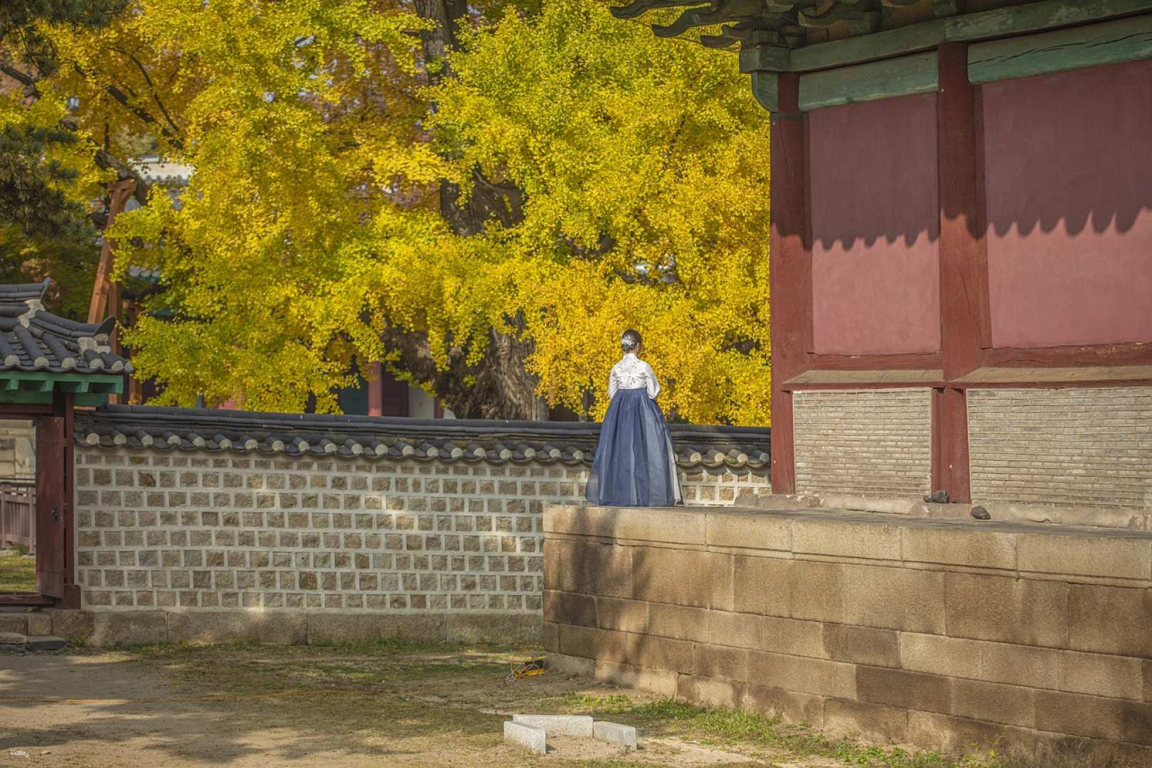韓国 の Stroll around Gyeongbokgung Palace and Samcheongdong in Hanbok ...