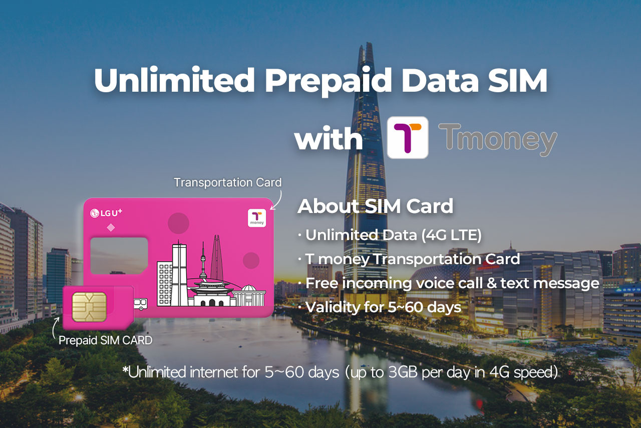 汉城的Korea 2-in-1 Unlimited Data SIM and T Money Transportation Card | Pelago