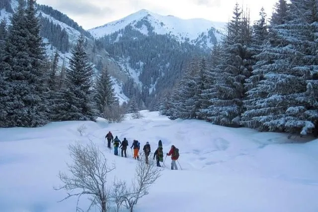 1-day Backcountry Tour - Photo 1 of 7
