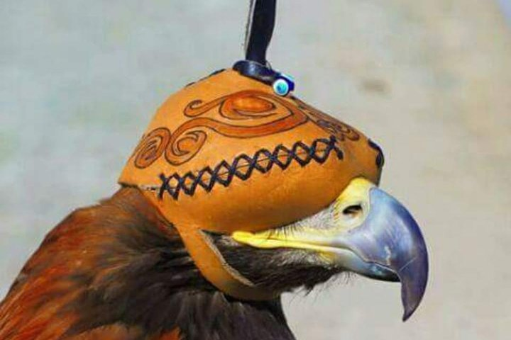 2 days experience with Kazakh family of "Berkutchi" in Nur-Sultan - Photo 1 of 5