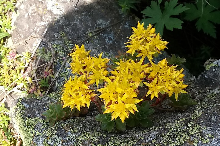Alma-Arasan gorge tour - Photo 1 of 7
