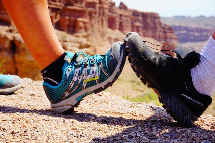 Private tour from Almaty 1 day Charyn canyon on comfortable SUV - Photo 1 of 6