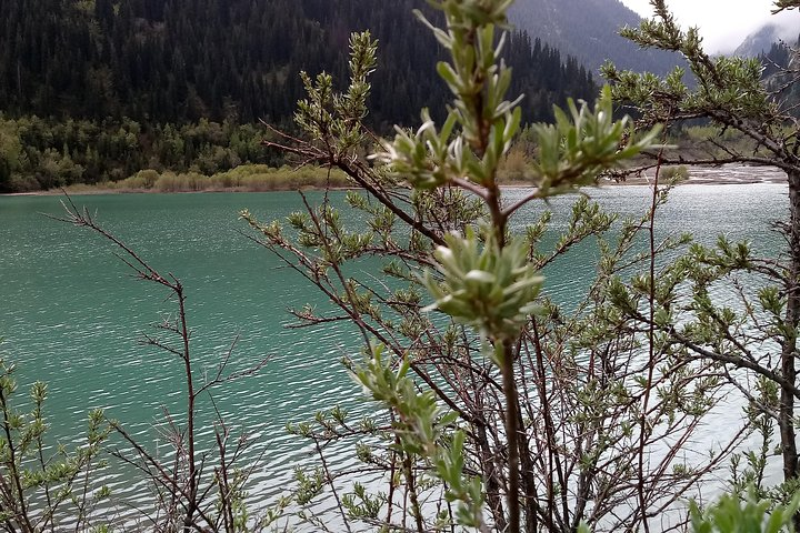 Individual tour to Issyk Lake+trout farm+museum+arboletum. One day tour - Photo 1 of 9