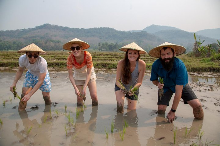Luang Prabang: Kuang Si Waterfall & Rice Farm Tour - Photo 1 of 18