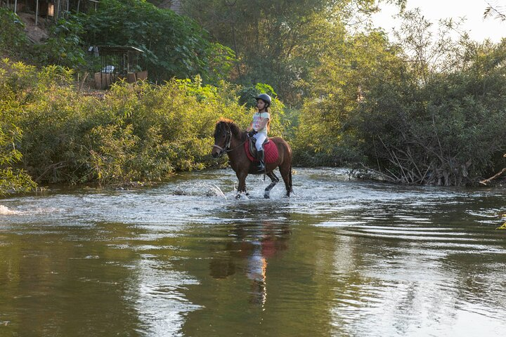 Pony Riding in Luang Prabang - Photo 1 of 6