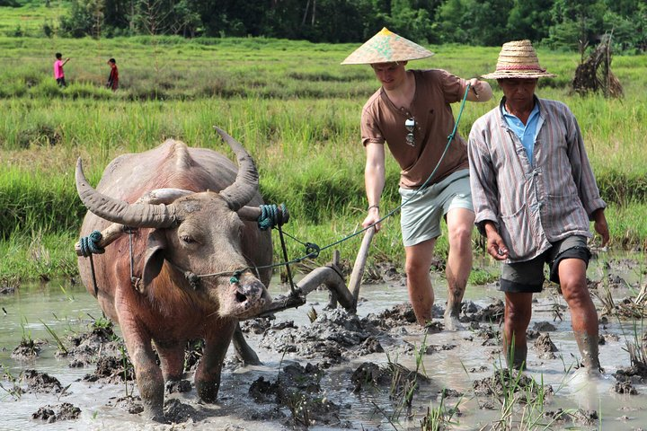 Private Half Day Luang Prabang Rural Farm Experience with Lunch - Photo 1 of 7