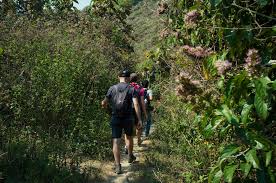 Therapeutic Trek: Morning Half-day Tour in Luang Prabang - Photo 1 of 5
