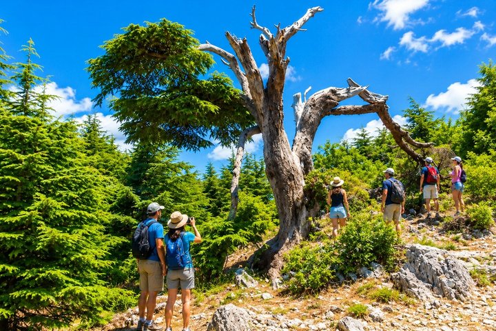 4 Nights Lebanon Holiday Package - Photo 1 of 16