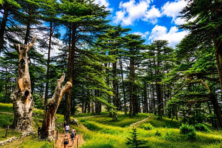Qadisha Valley, Cedars Hike & Kozhaya | Small-Group Tour Beirut - Photo 1 of 12