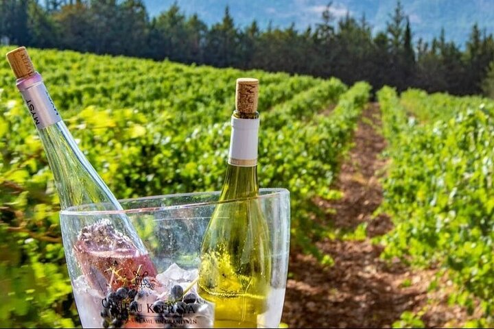 Vineyards of Chateau Kefraya