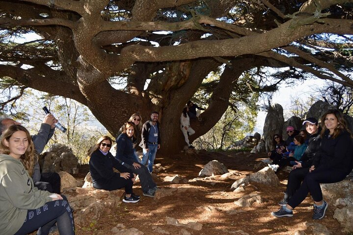 Full Day History Nature and Tasteful Delights Tour in Chouf  - Photo 1 of 6