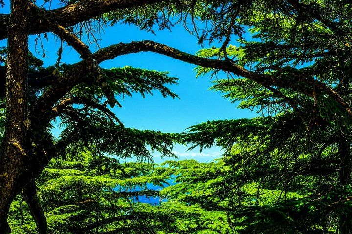 Private Qadisha Valley, Gibran Museum & Cedars Tour | Beirut - Photo 1 of 9