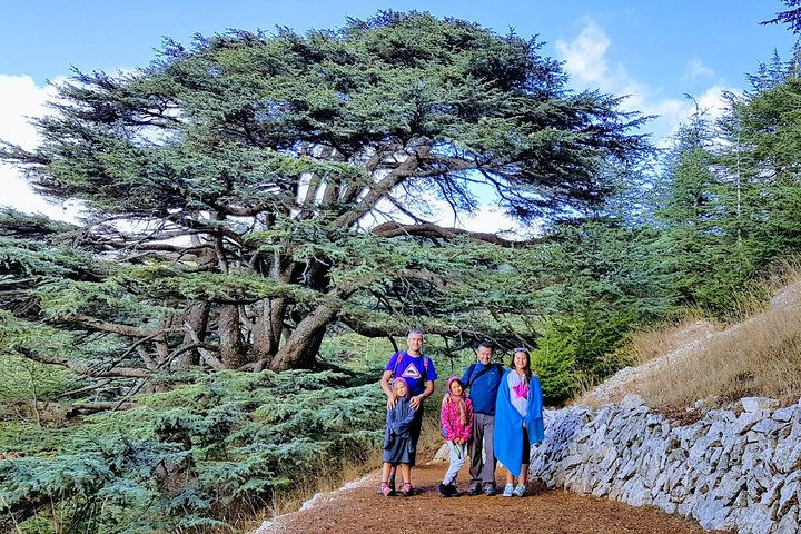 Barouk Cedars - Chouf
