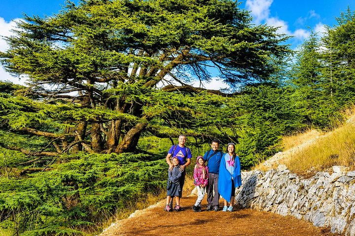 Private Cedar Hike, Beiteddine Palace & Deir el Qamar Tour - Photo 1 of 14
