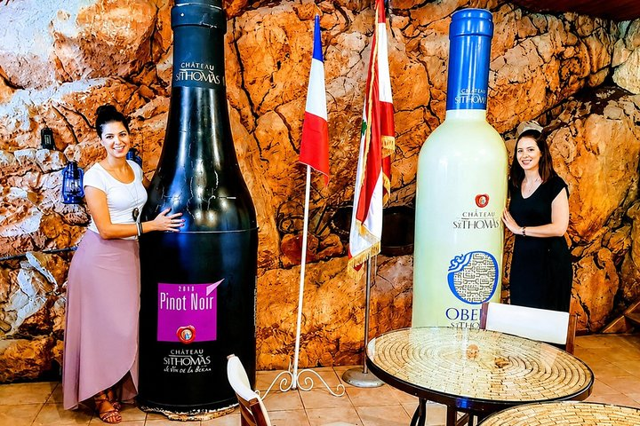 Private Bekaa Valley Wine Tour | 3 Wineries from Beirut - Photo 1 of 14